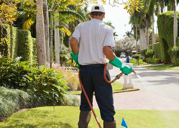 About Knights Landing CA Pest Control